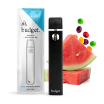 Budget 1 gram Disposable Vape - Image 4
