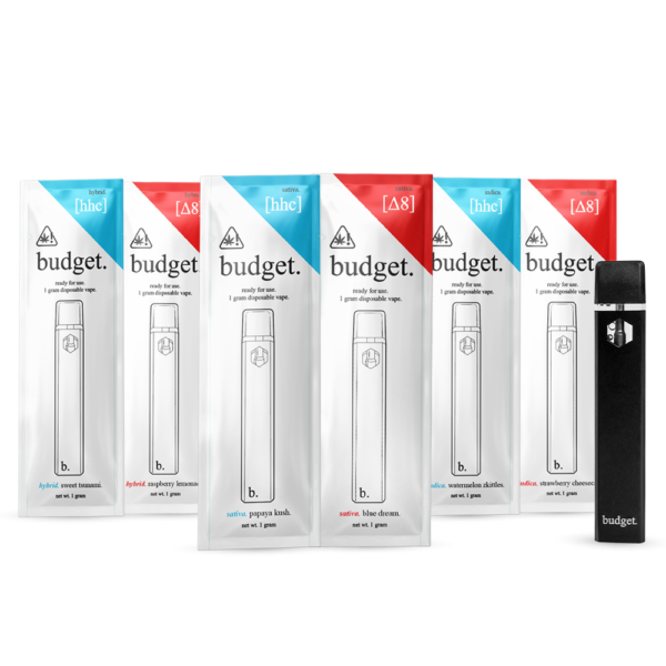 Budget-All-Dispos-Pack-600x600-1 Budget 1 gram Disposable Vape - Image 1