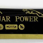 Jaguar Power 15g Male Enhancement Honey Sachet