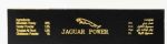 Jaguar Power 15g Male Enhancement Honey Sachet - Image 2
