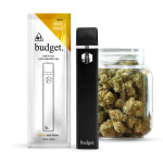 Budget 1 gram Disposable Vape - Image 9