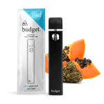 Budget 1 gram Disposable Vape - Image 2