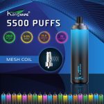 KANGVAPE 5500 PUFFS $9.95